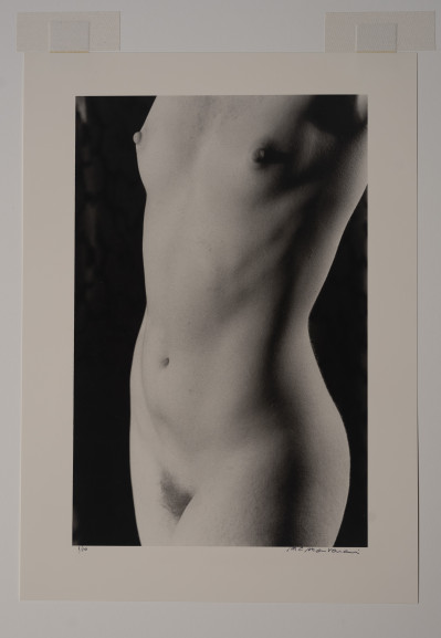 Marie-Claire Montanari - Torso to the Light