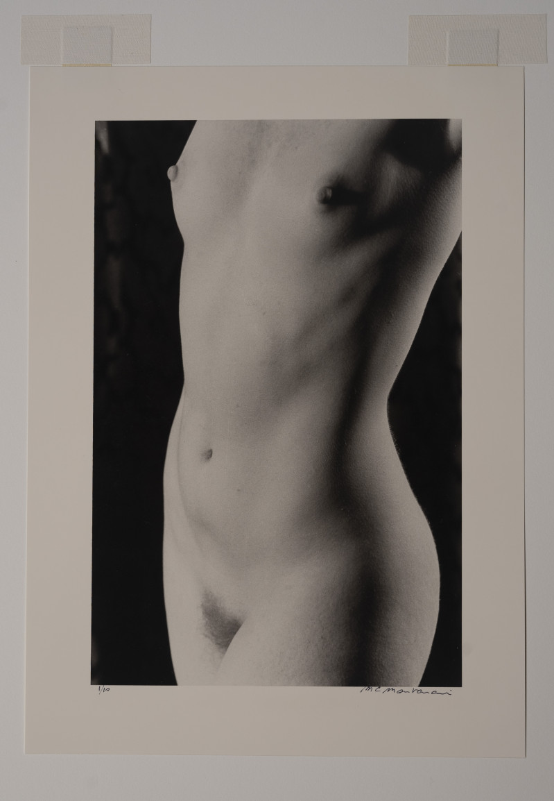 Marie-Claire Montanari - Torso to the Light