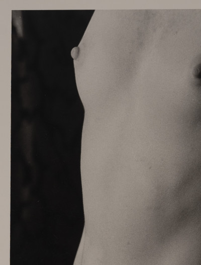 Marie-Claire Montanari - Torso to the Light