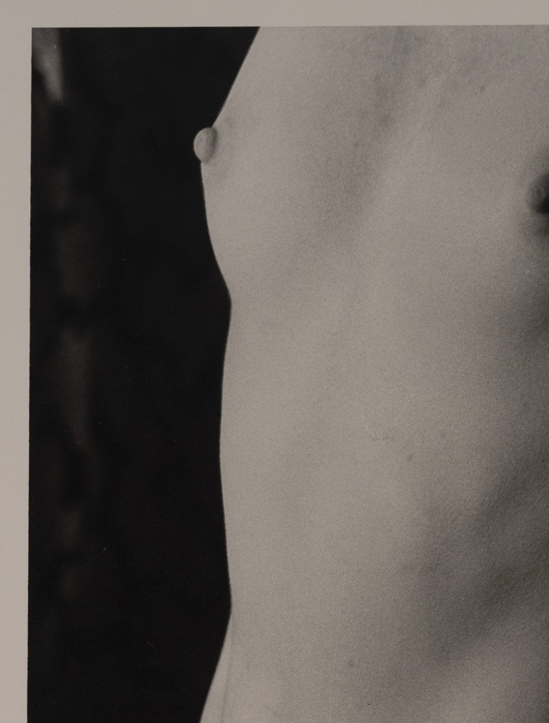 Marie-Claire Montanari - Torso to the Light