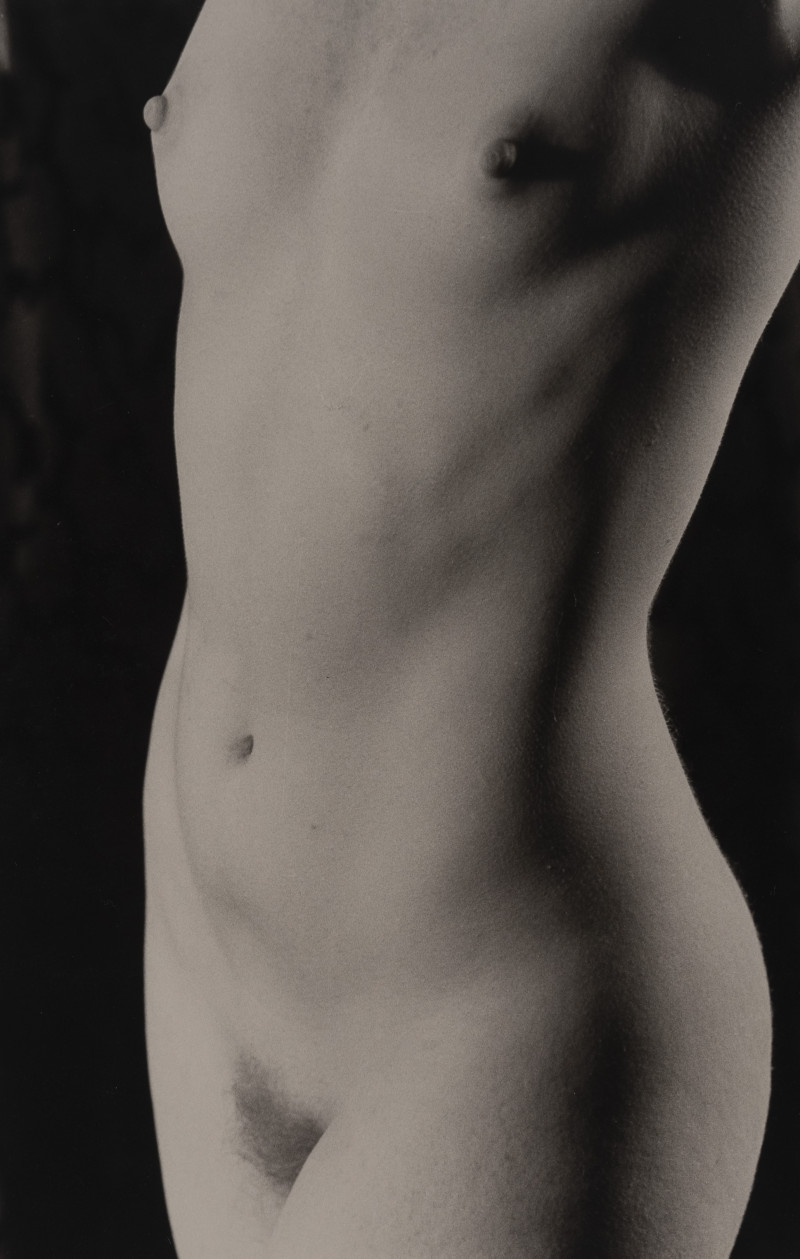 Marie-Claire Montanari - Torso to the Light