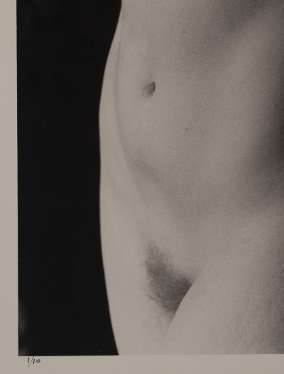 Marie-Claire Montanari - Torso to the Light