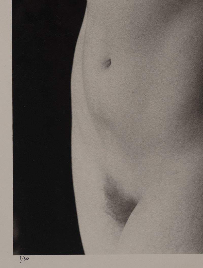 Marie-Claire Montanari - Torso to the Light