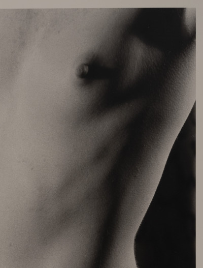 Marie-Claire Montanari - Torso to the Light