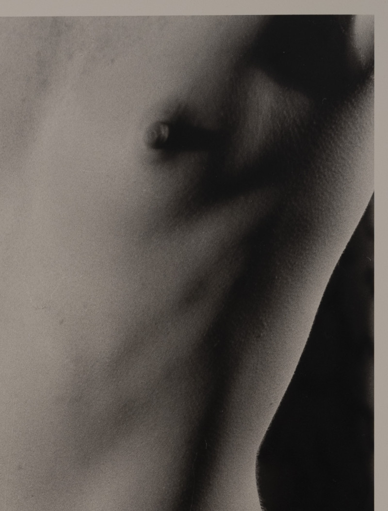 Marie-Claire Montanari - Torso to the Light