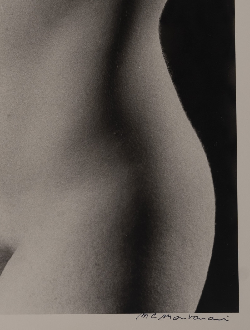 Marie-Claire Montanari - Torso to the Light