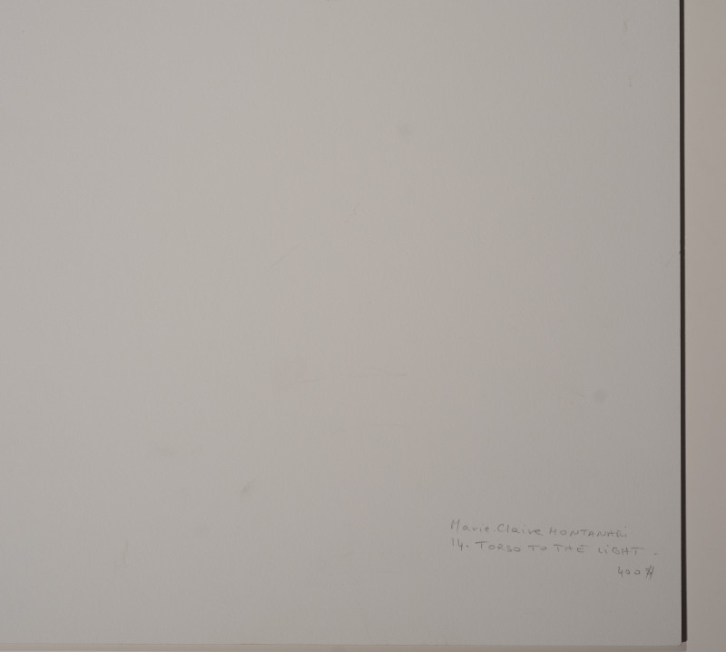 Marie-Claire Montanari - Torso to the Light