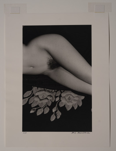 Marie-Claire Montanari - Hip on Flowered Carpet