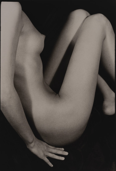 Image for Lot Marie-Claire Montanari - Profile Mode