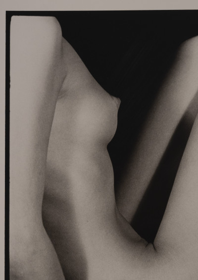 Marie-Claire Montanari - Profile Mode