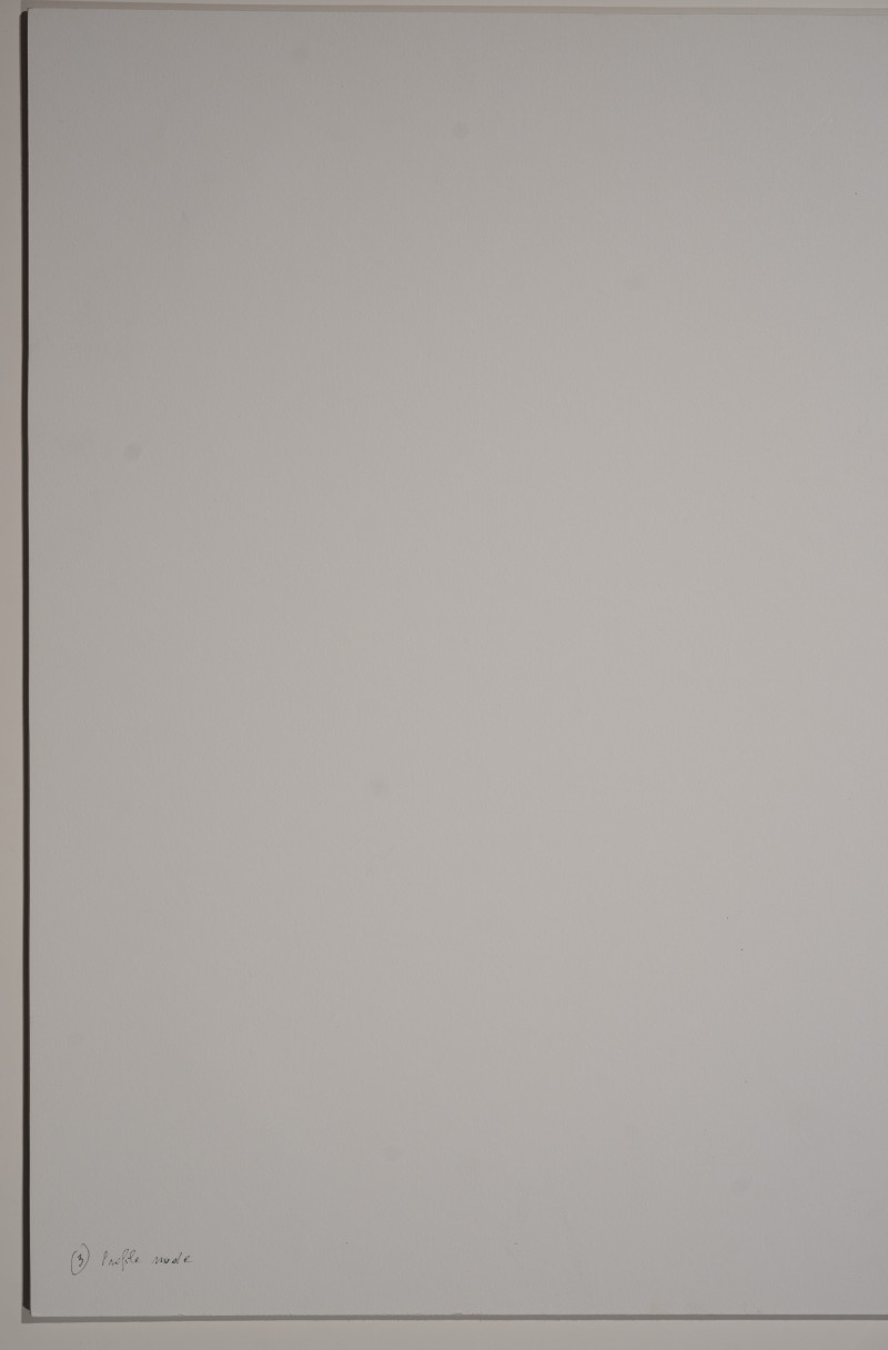 Marie-Claire Montanari - Profile Mode