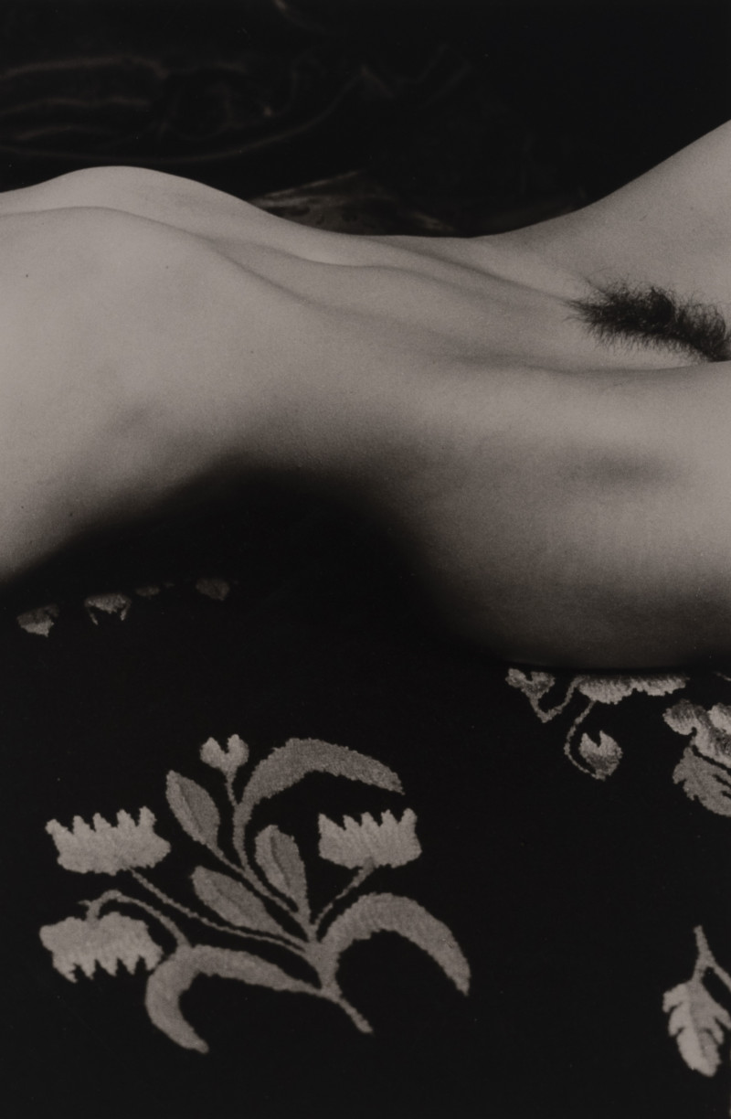 Marie-Claire Montanari - Mont De Venus