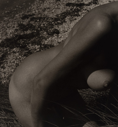 Image for Lot Marie-Claire Montanari - Nude on the Beach