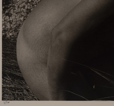 Marie-Claire Montanari - Nude on the Beach