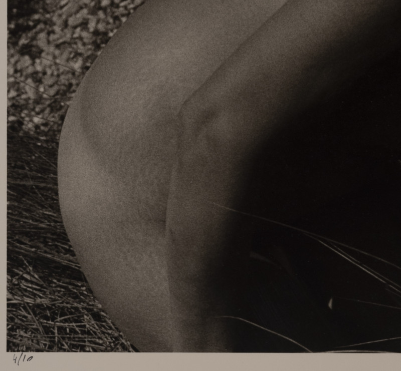 Marie-Claire Montanari - Nude on the Beach