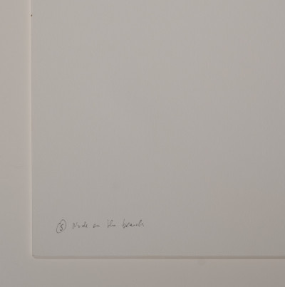 Marie-Claire Montanari - Nude on the Beach