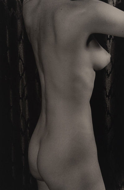 Image for Lot Marie-Claire Montanari - Standing Against Black Drape