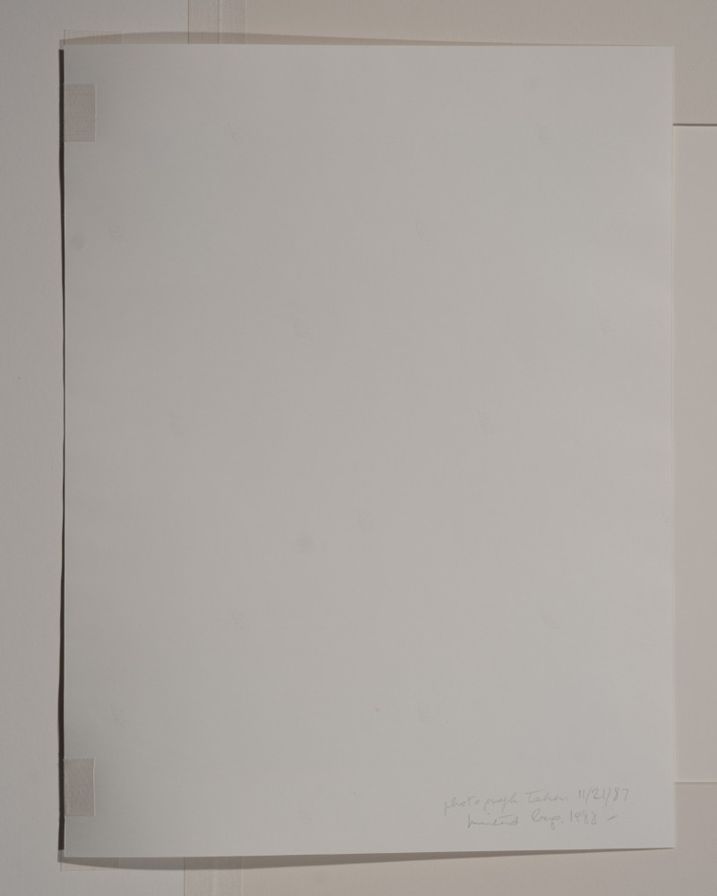 Marie-Claire Montanari - Untitled (4)