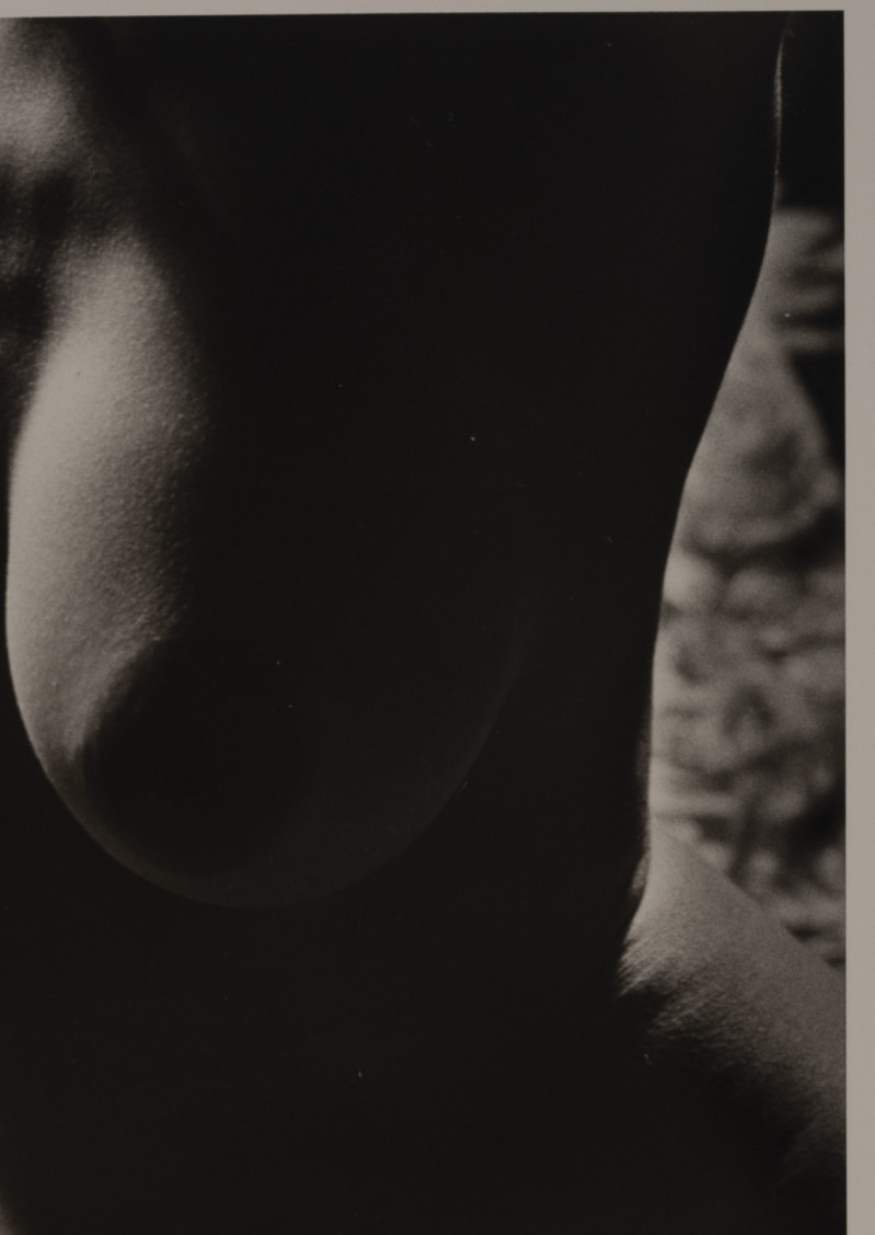 Marie-Claire Montanari - Untitled (5)