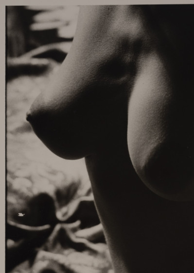 Marie-Claire Montanari - Untitled (5)