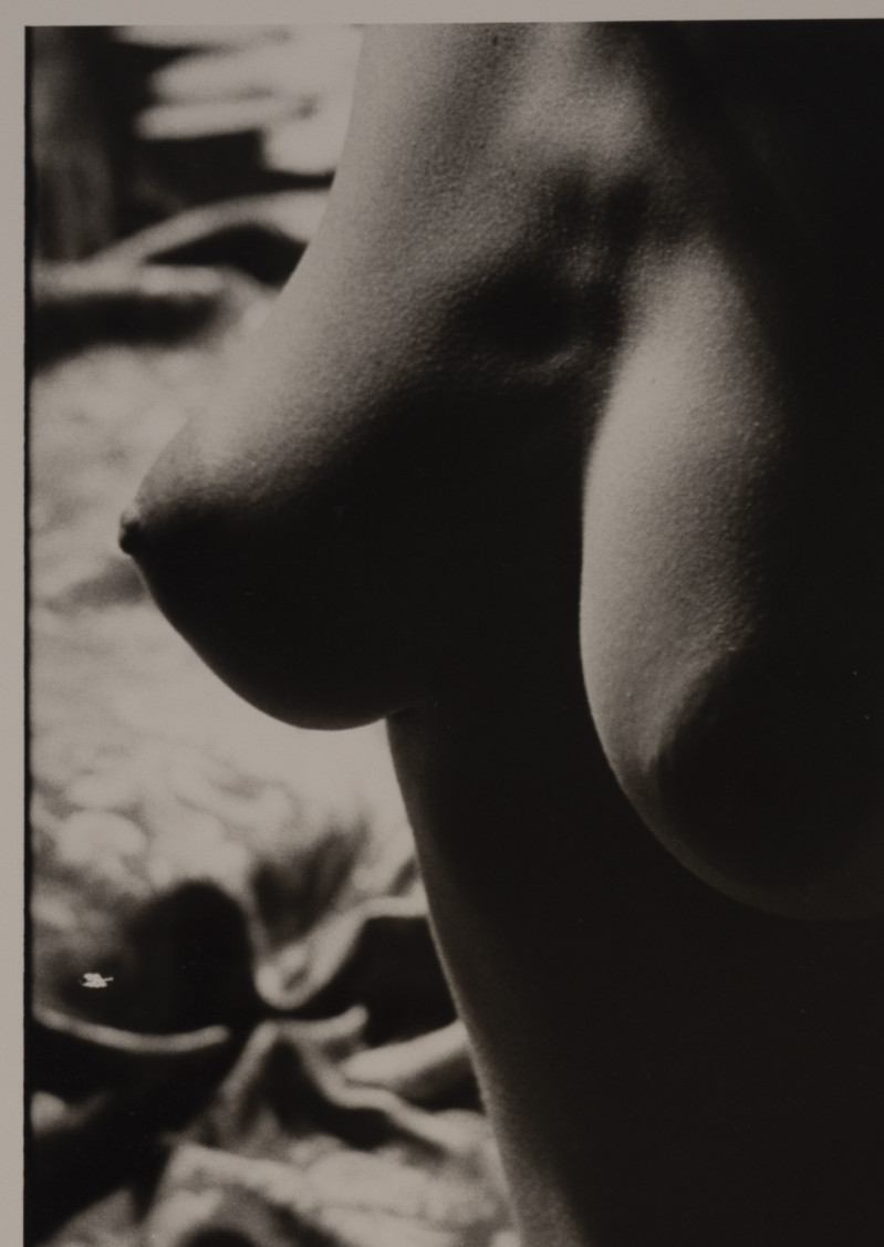 Marie-Claire Montanari - Untitled (5)