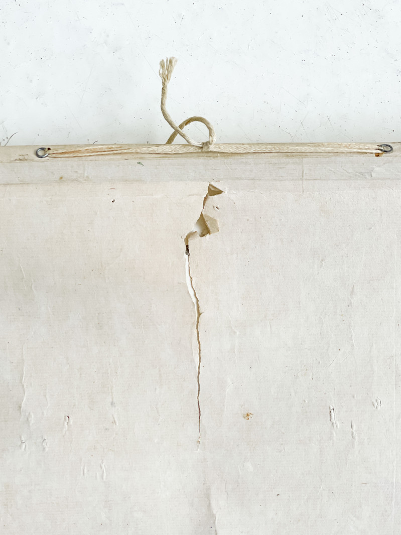 Chinese Hanging Scroll, Ink and Colors on Paper, Portrait of a Beauty