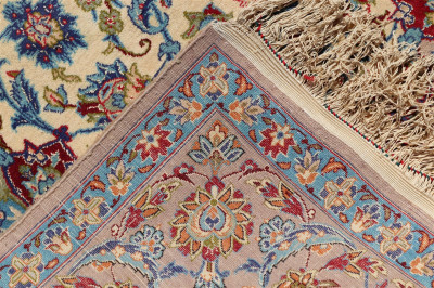 Persian Style Wool Rug 3-3 x 5-6