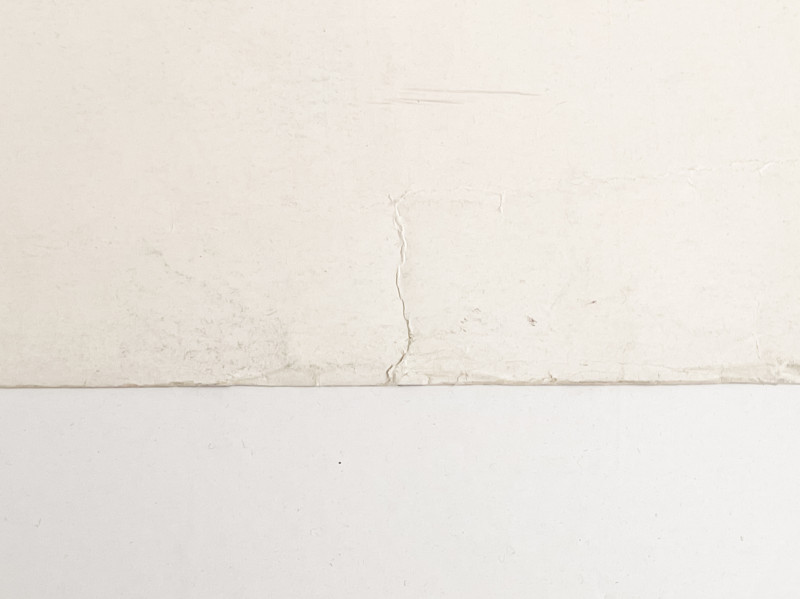 Andy Warhol - Ladies and Gentlemen Exhibition Poster (Portrait of Wilhelmina Ross)