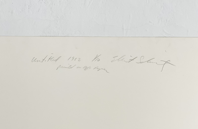 Assorted Artists - 3 Photographs