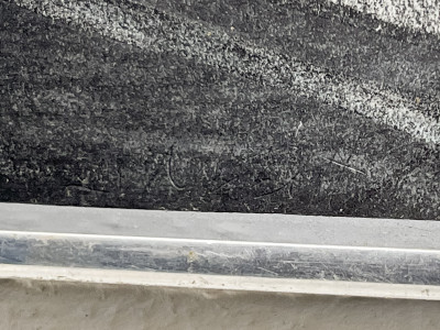 Lowell Nesbitt - Hotel