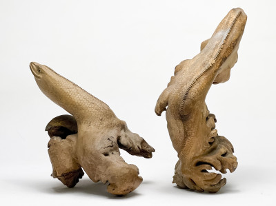 Rootwood or Burl Sculptures Carved with Lizard Form, Group of 2