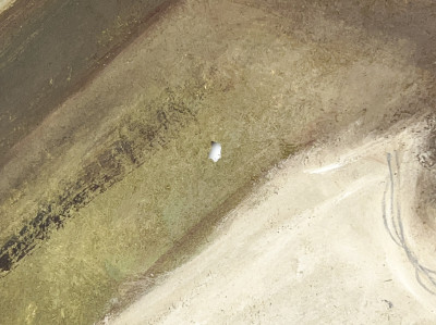 Marysole Wörner Baz - Chairs, Books, and Mushrooms, Group of 6 pieces