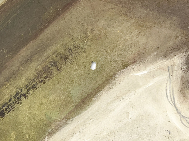 Marysole Wörner Baz - Chairs, Books, and Mushrooms, Group of 6 pieces