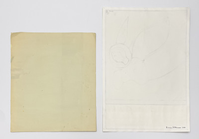 Jeanne Risica and Ronald Ottaviano - You think the heaviness will crush you. Well it doesn&apos;t. / Untitled (2 Works)