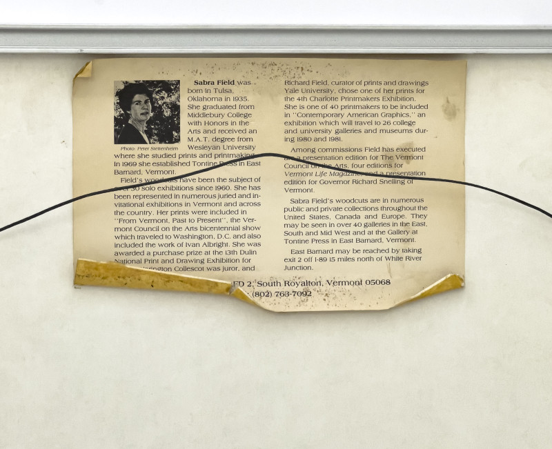 Sabra Johnson Field - Winter in White River Valley I, II, III (3 Works)
