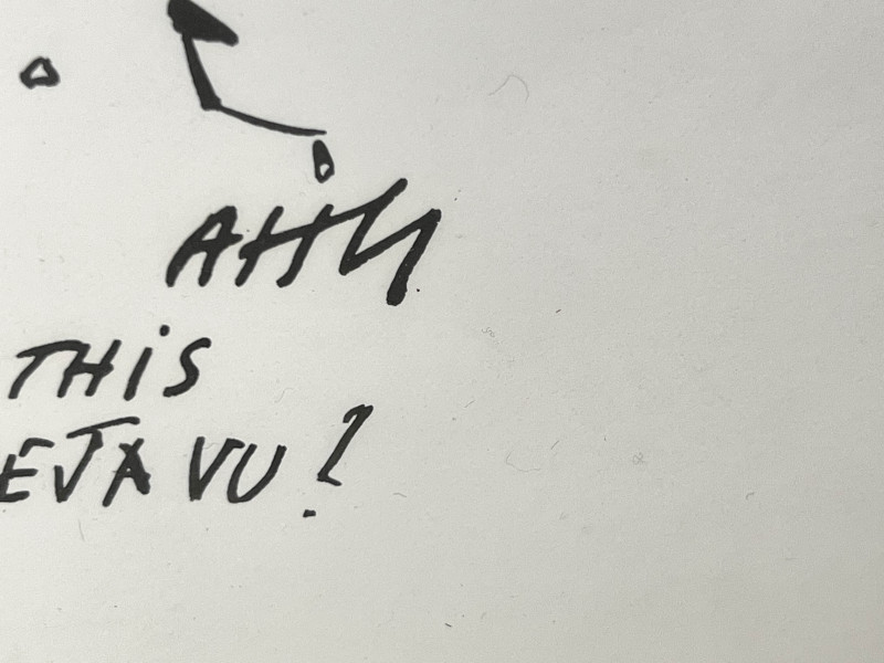 Anthony Haden Guest - You Mean We All Have This Overwhelming Sense of Deja Vu?
