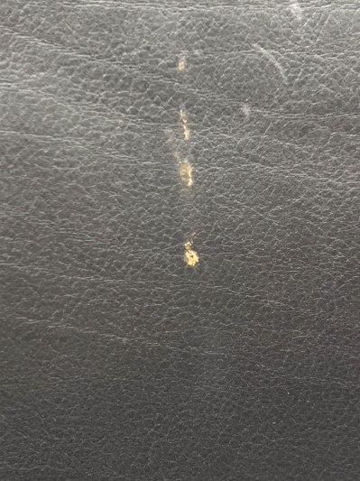 Afra &amp; Tobia Scarpa - Dialogo Dining Chairs, Set of 4