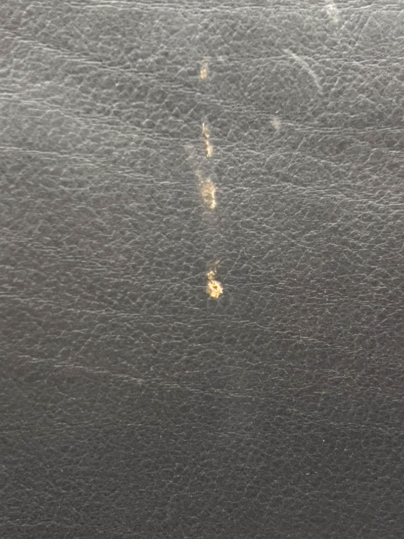 Afra &amp; Tobia Scarpa - Dialogo Dining Chairs, Set of 4