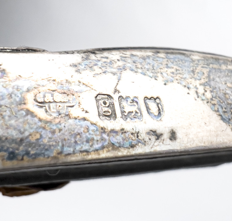 Collection of Sterling and Metal Frames, Group of 11