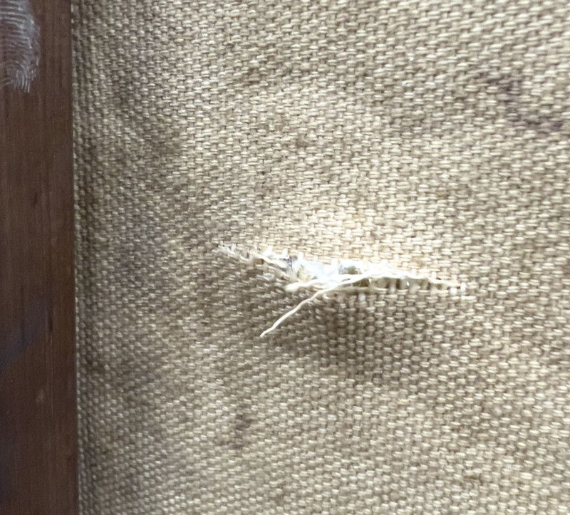 Martha McKay - Ashur