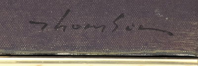 William Thomson - Above Zen Pool