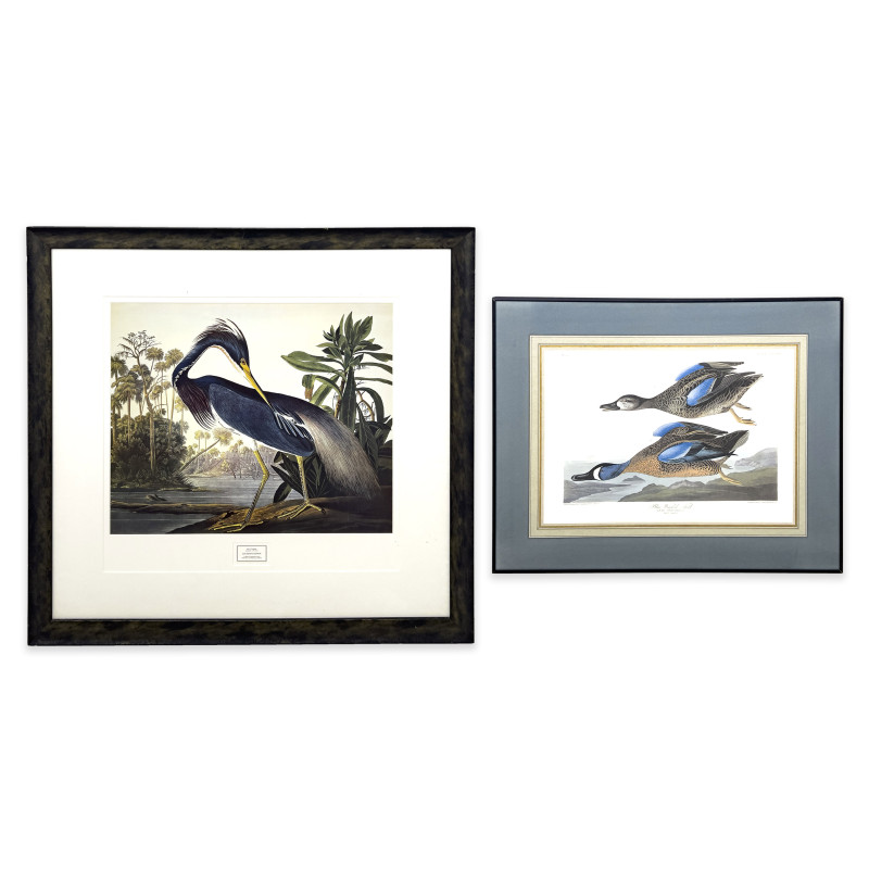 John James Audubon - Blue-Winged Teal / Louisiana Heron (2 Works)