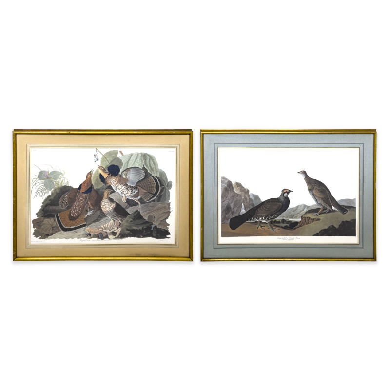 John James Audubon - Puffed Grouse / Dusky Grouse (2 Works)