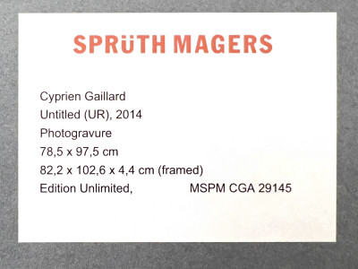 Cyprien Gaillard - Untitled (UR)