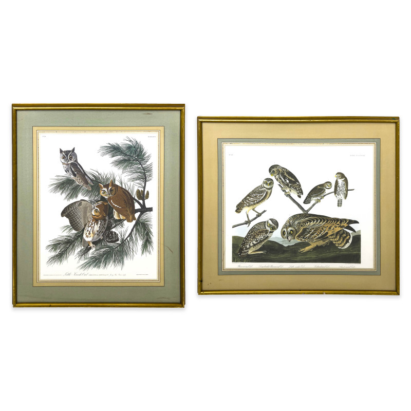 John James Audubon - Owl Prints (2 Works)