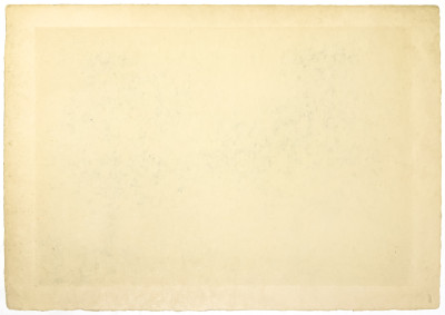 Kaiko Moti - Untitled (Trees)