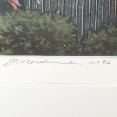 Frederick Mershimer - Untitled (Tree in Bloom)