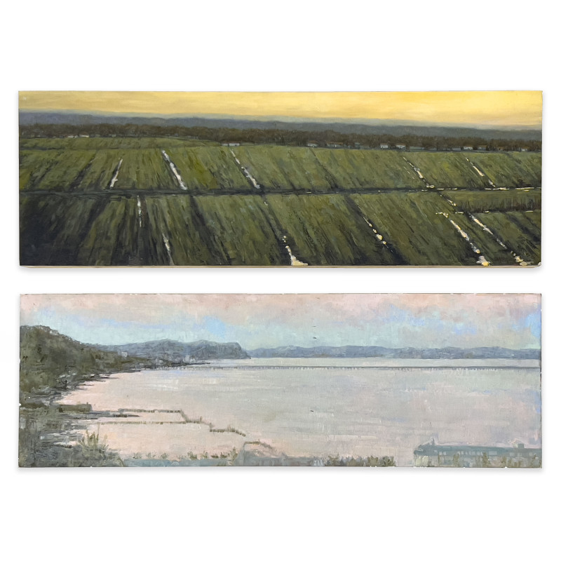 Sue Barrasi - Ancient Muck / Her Last Days, 2 Works