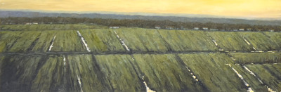 Sue Barrasi - Ancient Muck / Her Last Days, 2 Works