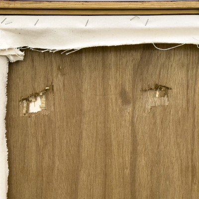 Janet Cooling - Land of the Shadow